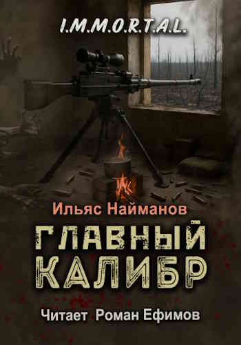 Ильяс Найманов. I.M.M.O.R.T.A.L. Книга 9. Главный калибр